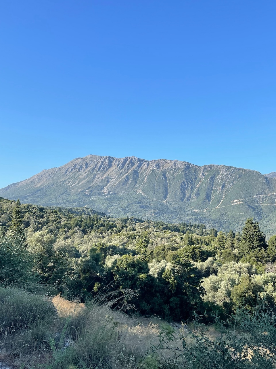 Looking inland to the mountains